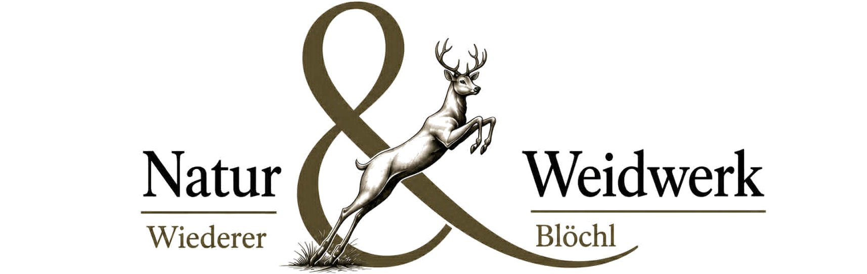 HeaderLogo