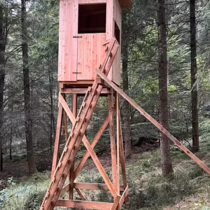 Waldkanzel Lärche