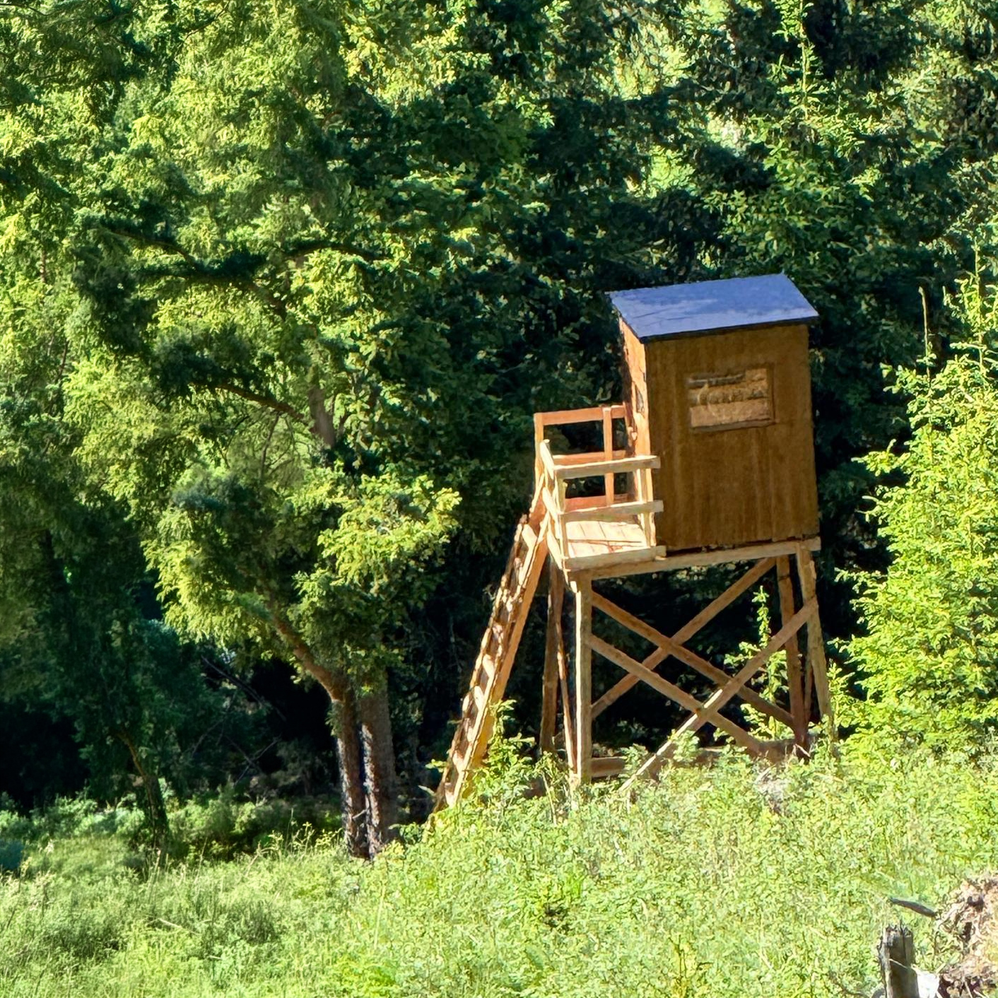 Schneeglocke im schwierigen Gelände